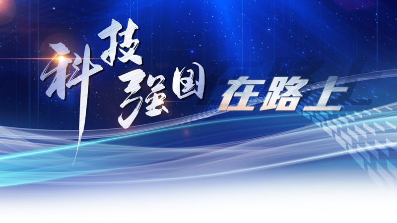 网络安全防护体系如何构建：全方位策略解析
